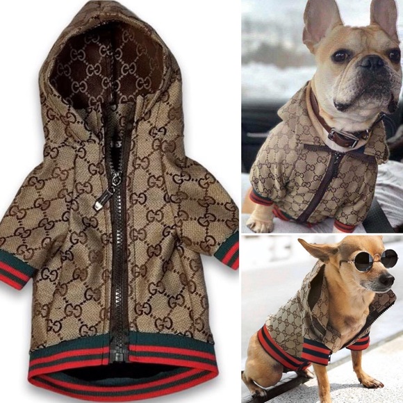 Gucci Other - BNIP GUCCI POOCHI GG Monogram Hoodie Pet Jacket